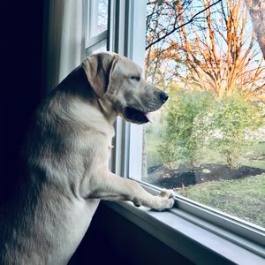 Meet your Posher, Aiden